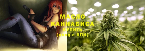 индика Абинск