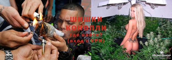 дживик Билибино