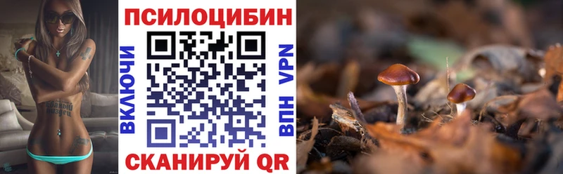 хочу наркоту Канск Псилоцибиновые грибы мухоморы
